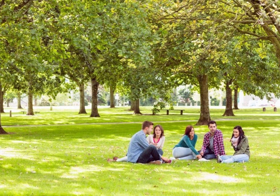 Group sitting on grass under trees.